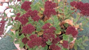 2012-10-27_11-14-03_554