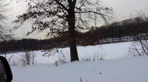 Weequahic Park Lake
